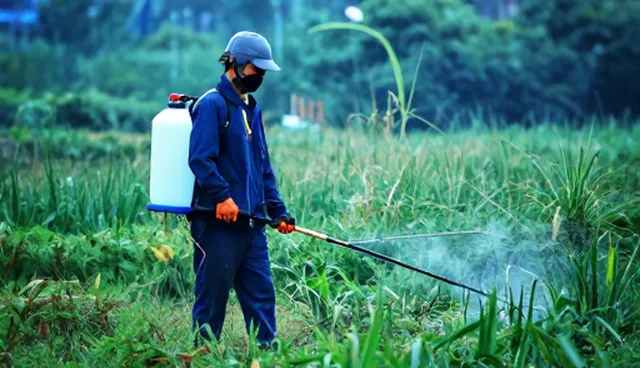 服务误区:技术外包中的运维问题分析